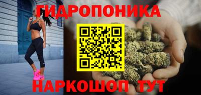 таблы Кингисепп