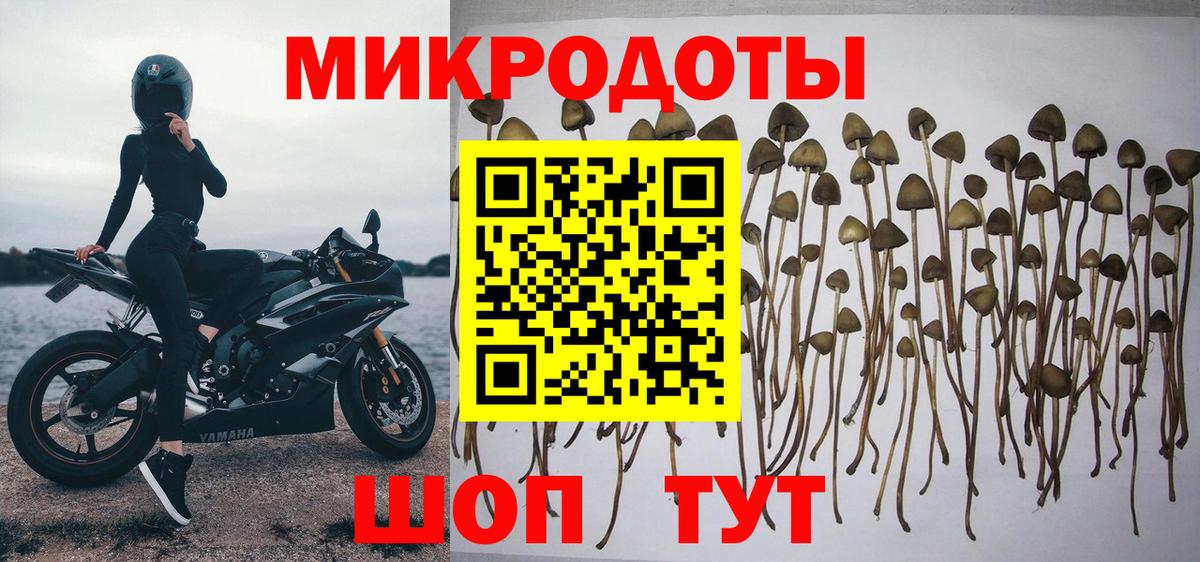 Галлюциногенные грибы ЛСД Кирово-Чепецк