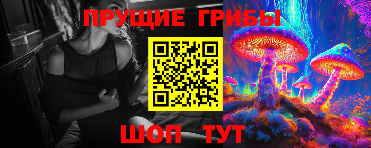 Кирово-Чепецк  Псилоцибиновые грибы мицелий  Вход с VPN  Галлюциногенные грибы прущие грибы 